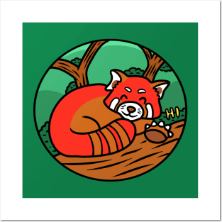 Funny red panda Posters and Art